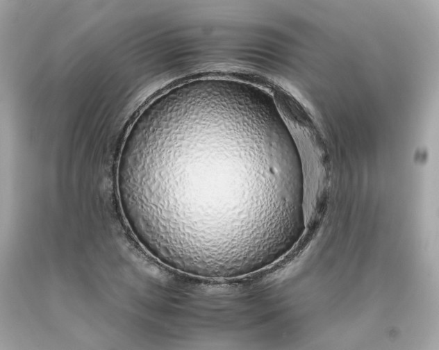 X0000091491025200709061856