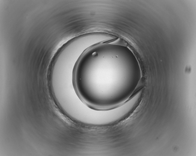 X0000091491026200709061856