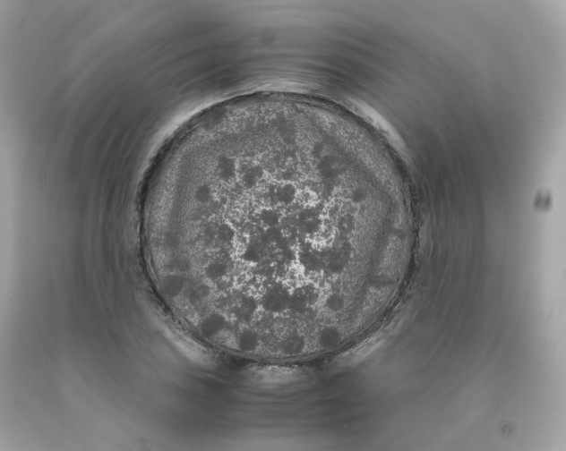 X0000091491027200709061856