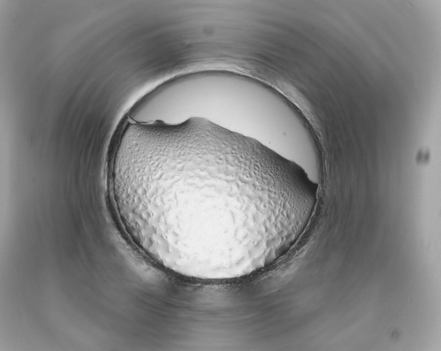 X0000091491028200709061856