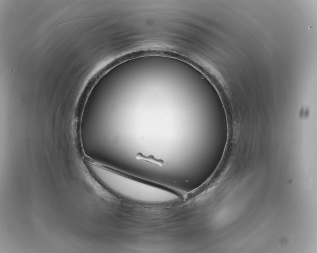 X0000091491029200709061856