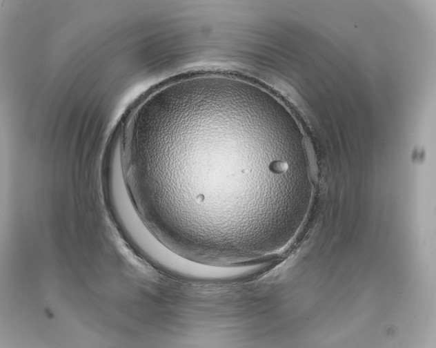 X0000091491030200709061856