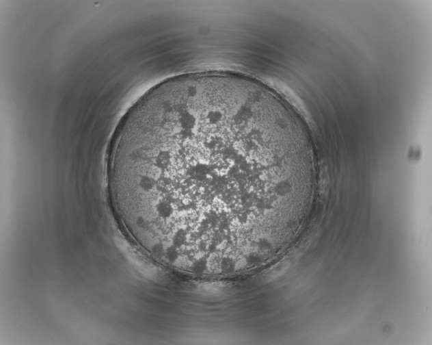 X0000091491031200709061856