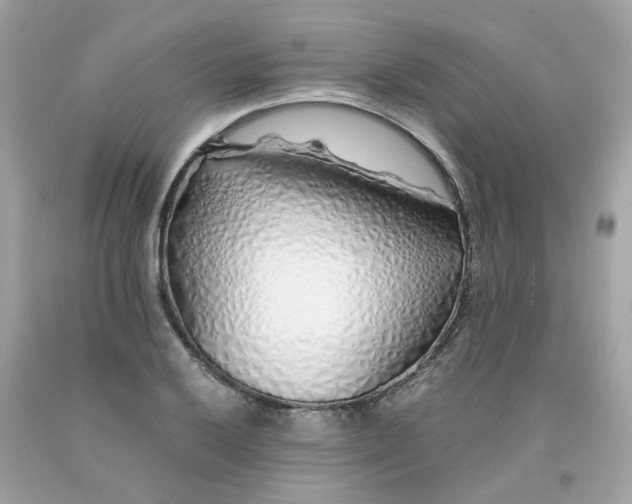 X0000091491032200709061856