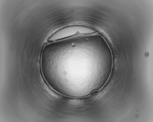 X0000091491033200709061856