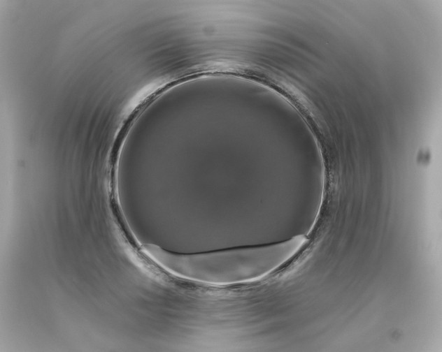 X0000091491034200709061856