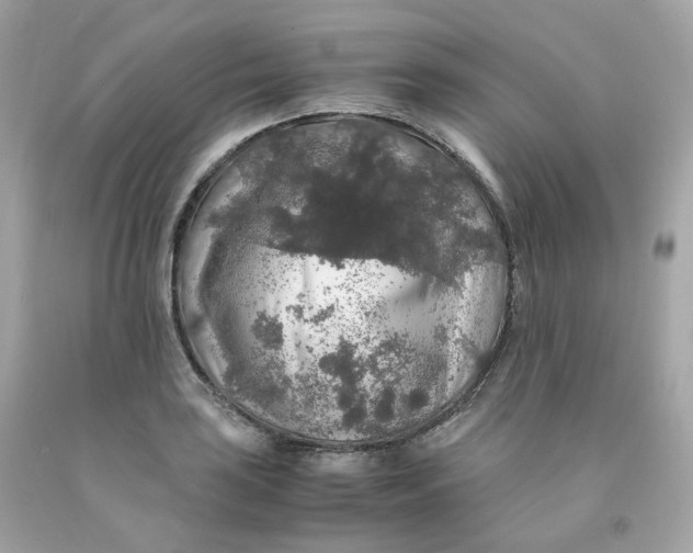 X0000091491035200709061856