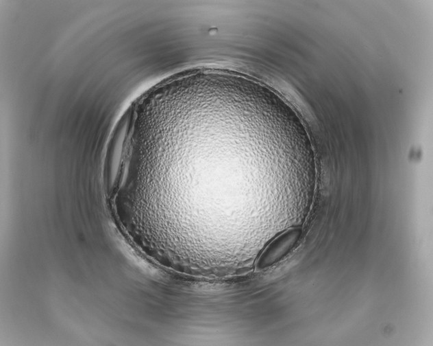 X0000091491036200709061856