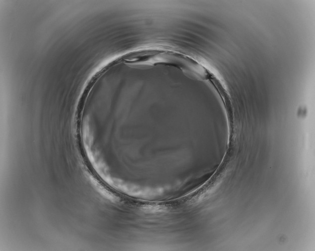 X0000091491037200709061856