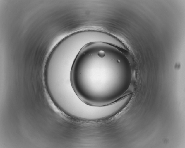 X0000091491038200709061856