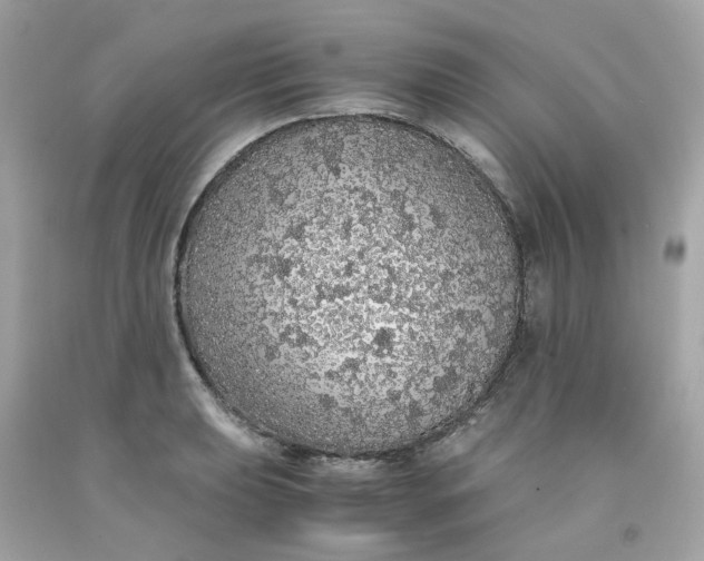 X0000091491039200709061856