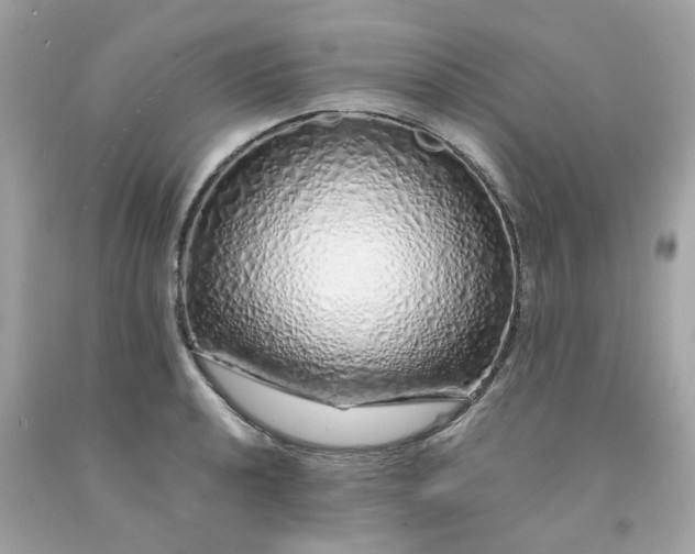 X0000091491040200709061856