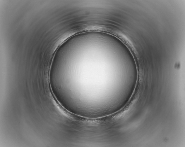 X0000091491041200709061856