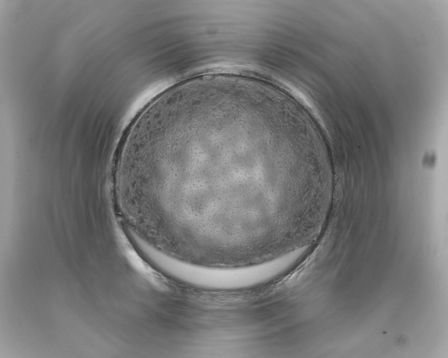 X0000091491042200709061856