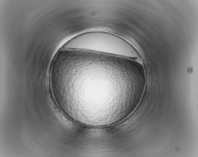 X0000091491044200709061856