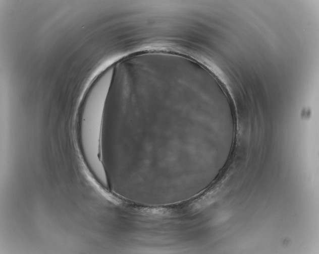 X0000091491045200709061856