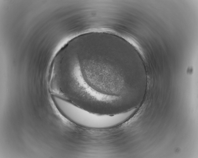 X0000091491046200709061856