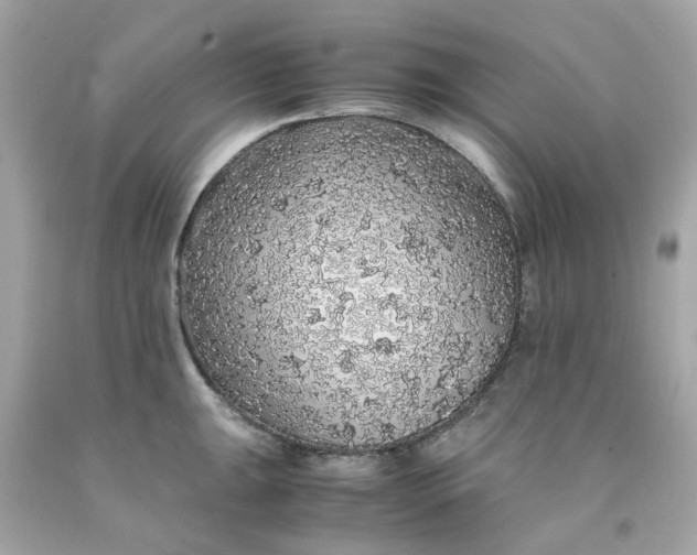 X0000091491047200709061856