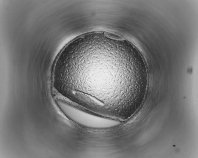 X0000091491048200709061856