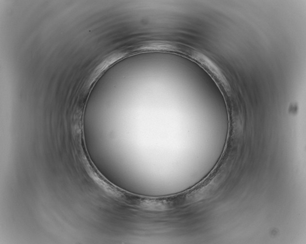 X0000091491049200709061856