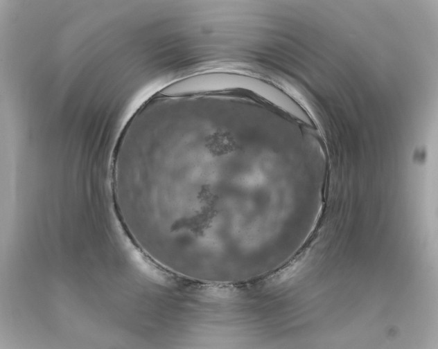 X0000091491050200709061856