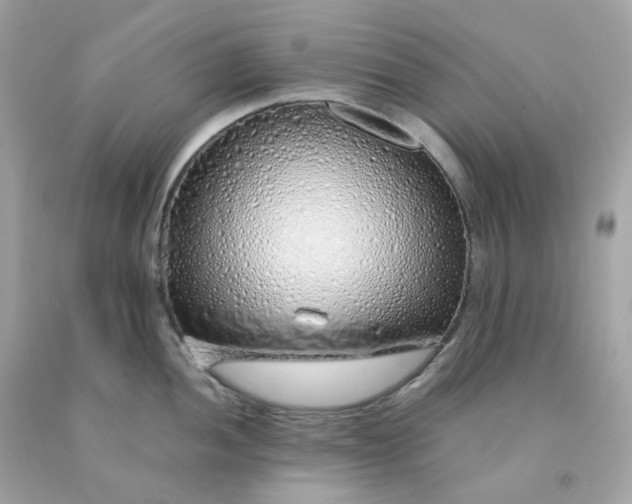 X0000091491052200709061856