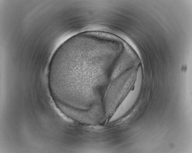 X0000091491053200709061856