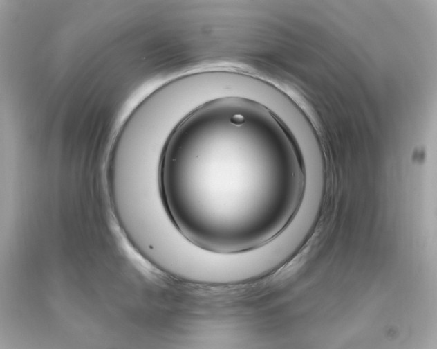 X0000091491054200709061856