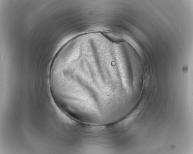 X0000091491055200709061856