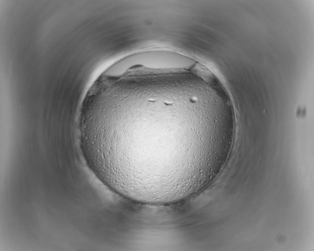 X0000091491056200709061856