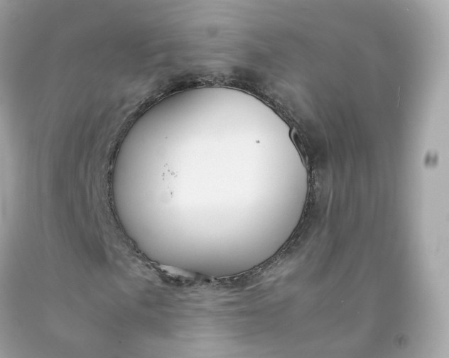 X0000091491057200709061856