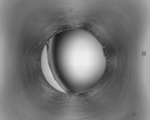 X0000091491058200709061856