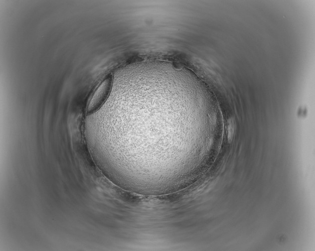 X0000091491059200709061856