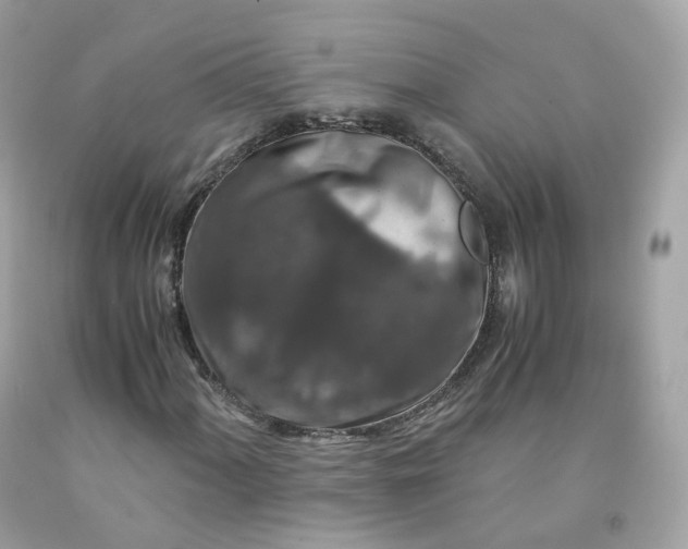 X0000091491060200709061856