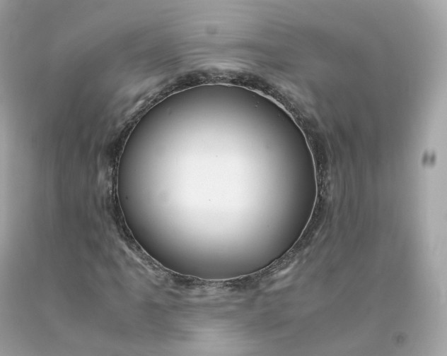 X0000091491061200709061856