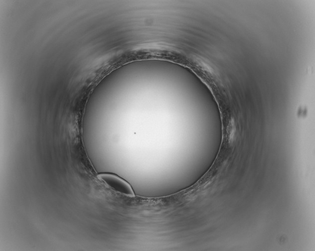 X0000091491062200709061856