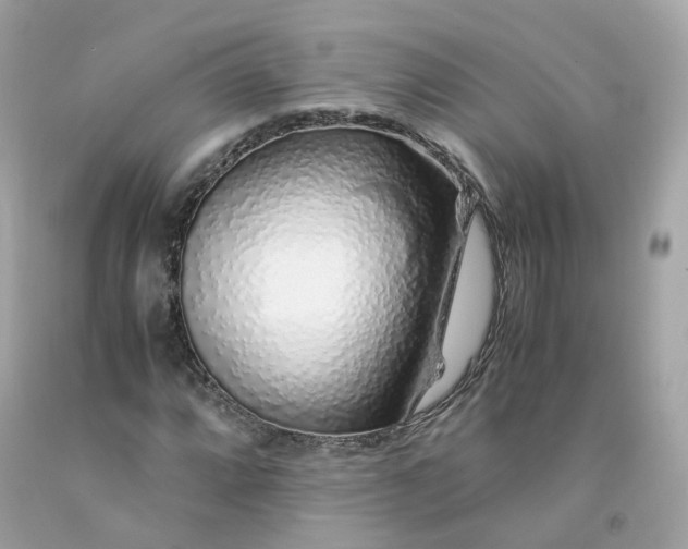 X0000091491064200709061856