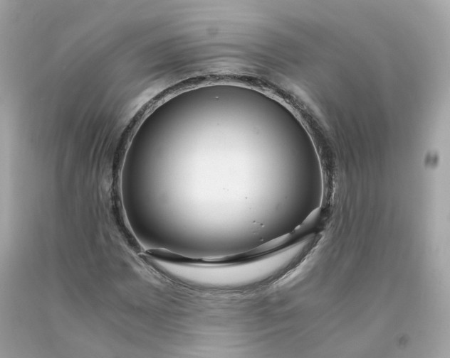 X0000091491065200709061856