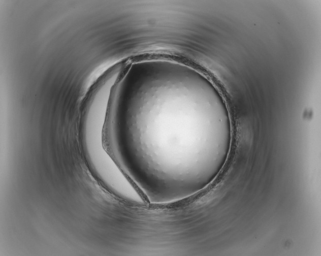 X0000091491066200709061856