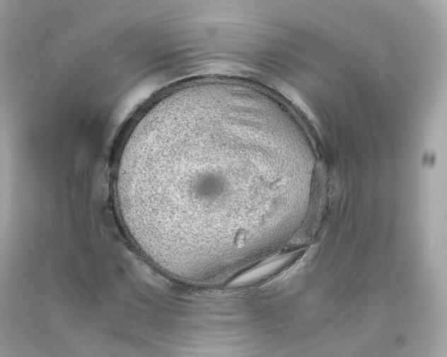 X0000091491067200709061856