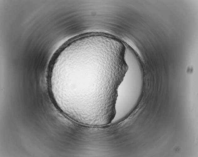 X0000091491068200709061856