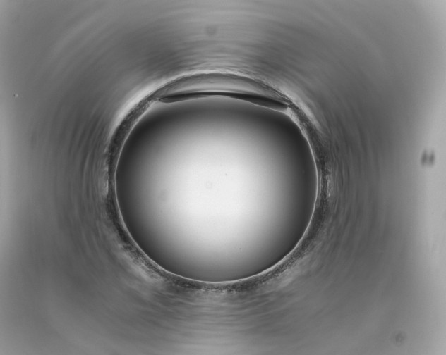 X0000091491069200709061856