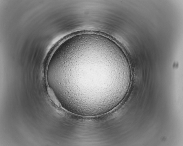 X0000091491070200709061856