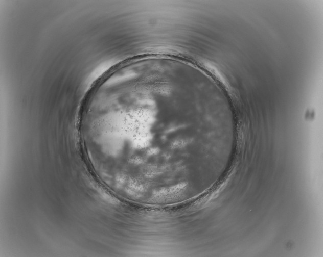 X0000091491071200709061856