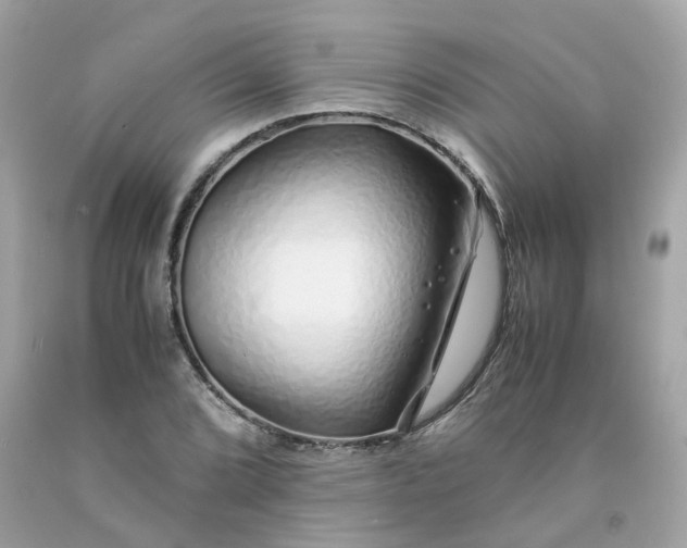 X0000091491072200709061856