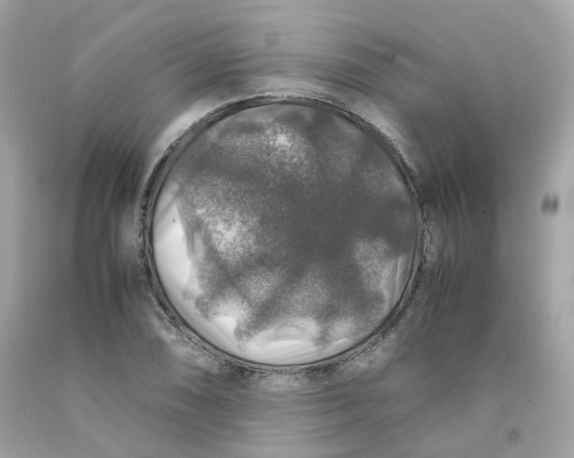 X0000091491074200709061856