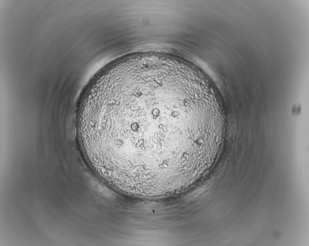 X0000091491075200709061855