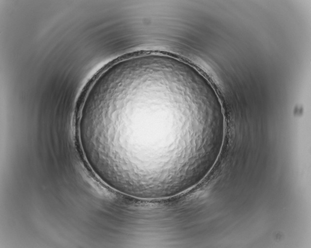 X0000091491076200709061855