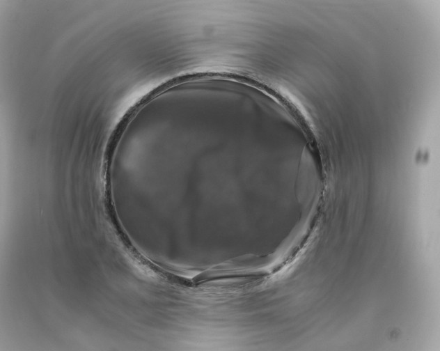 X0000091491077200709061855