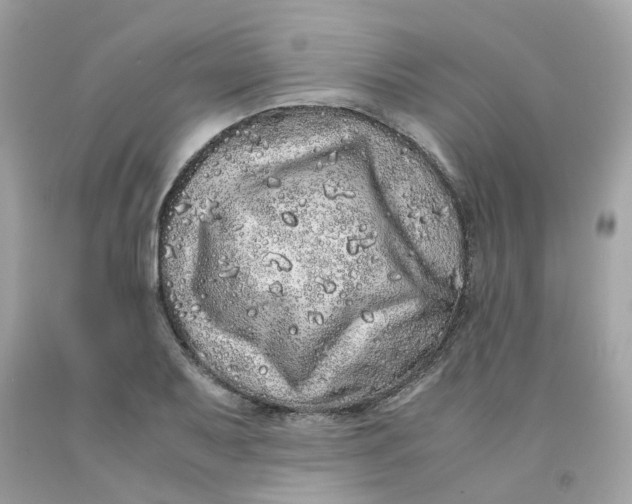 X0000091491079200709061855